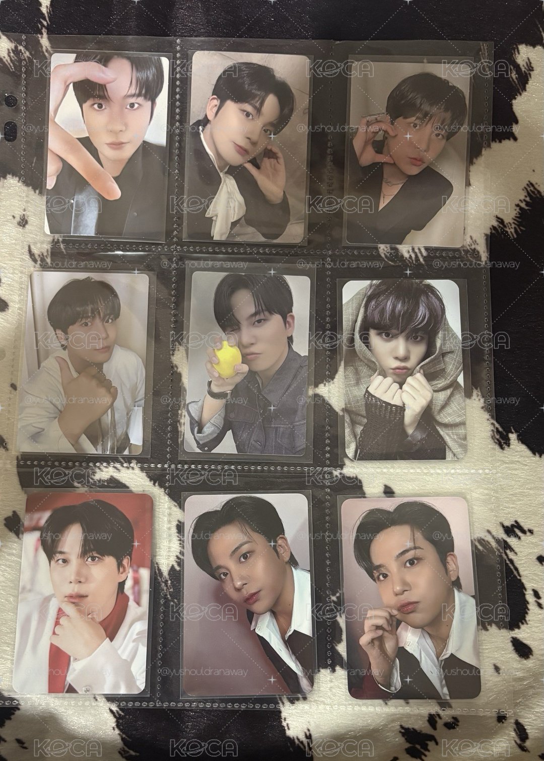 ATEEZ 鍾浩小卡們