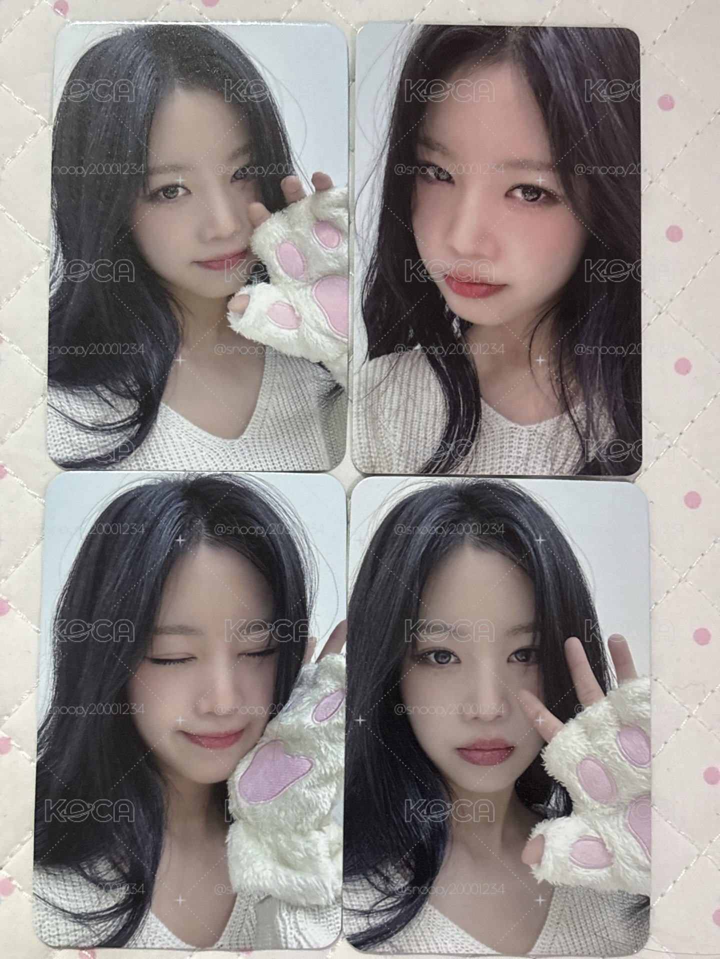 貓爪珍、km 台特珍💜