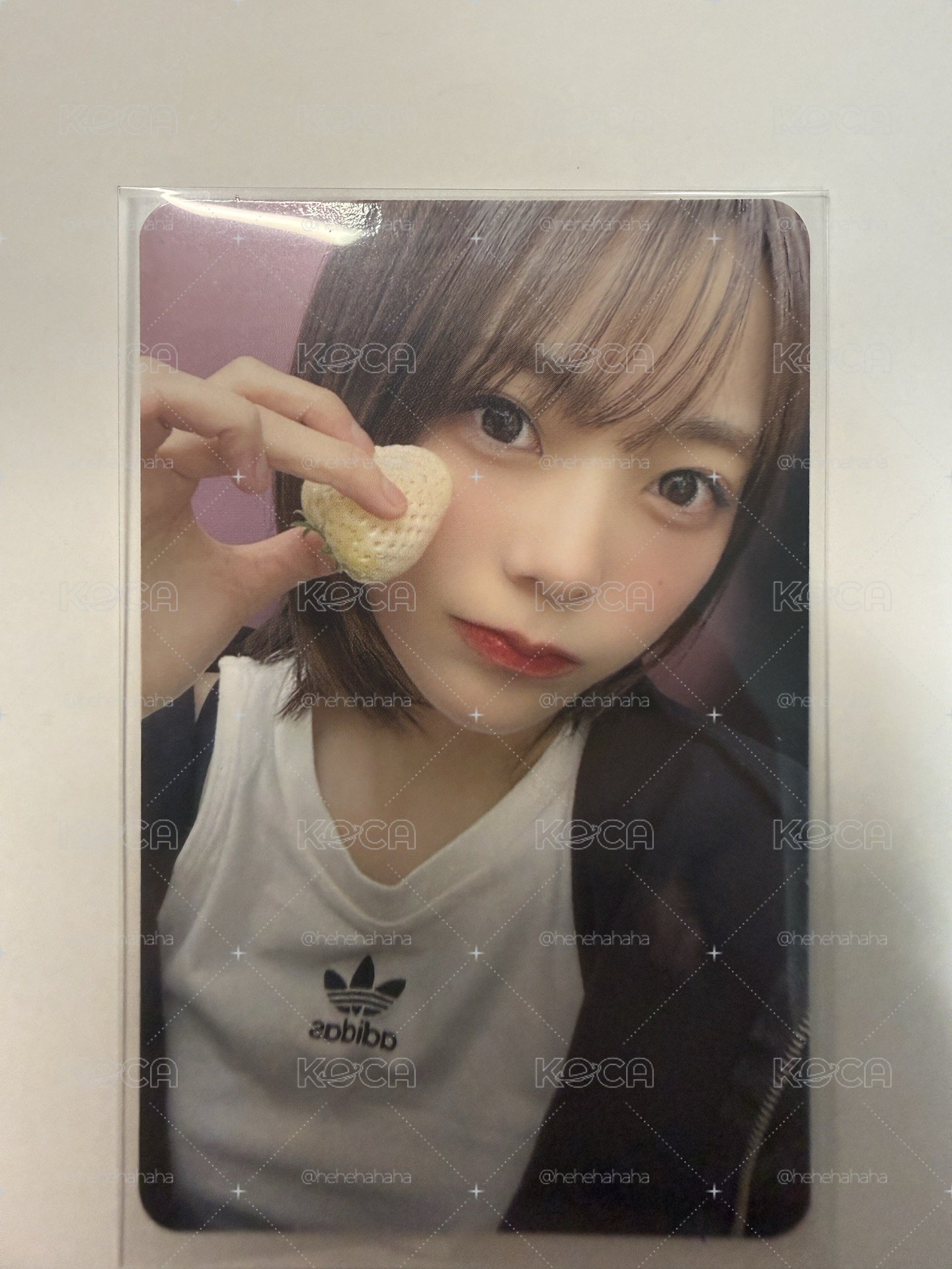 迷一ms特典卡