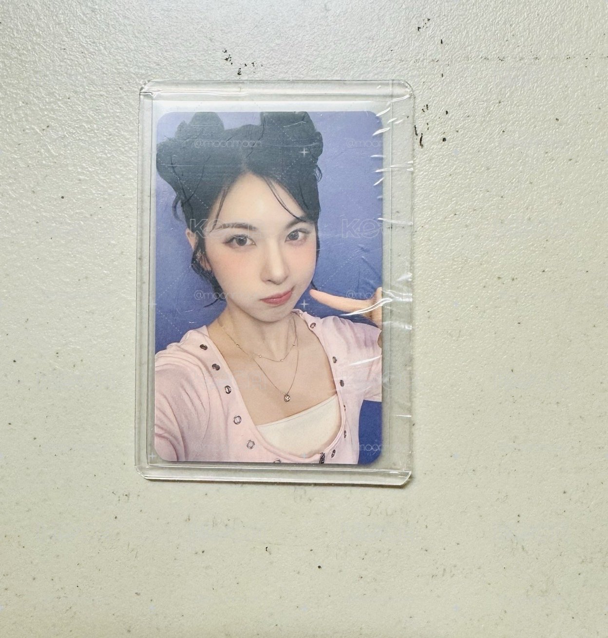 pucca裴