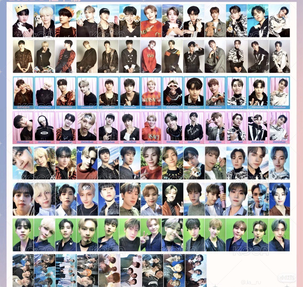 SVT D社卡冊周邊卡
