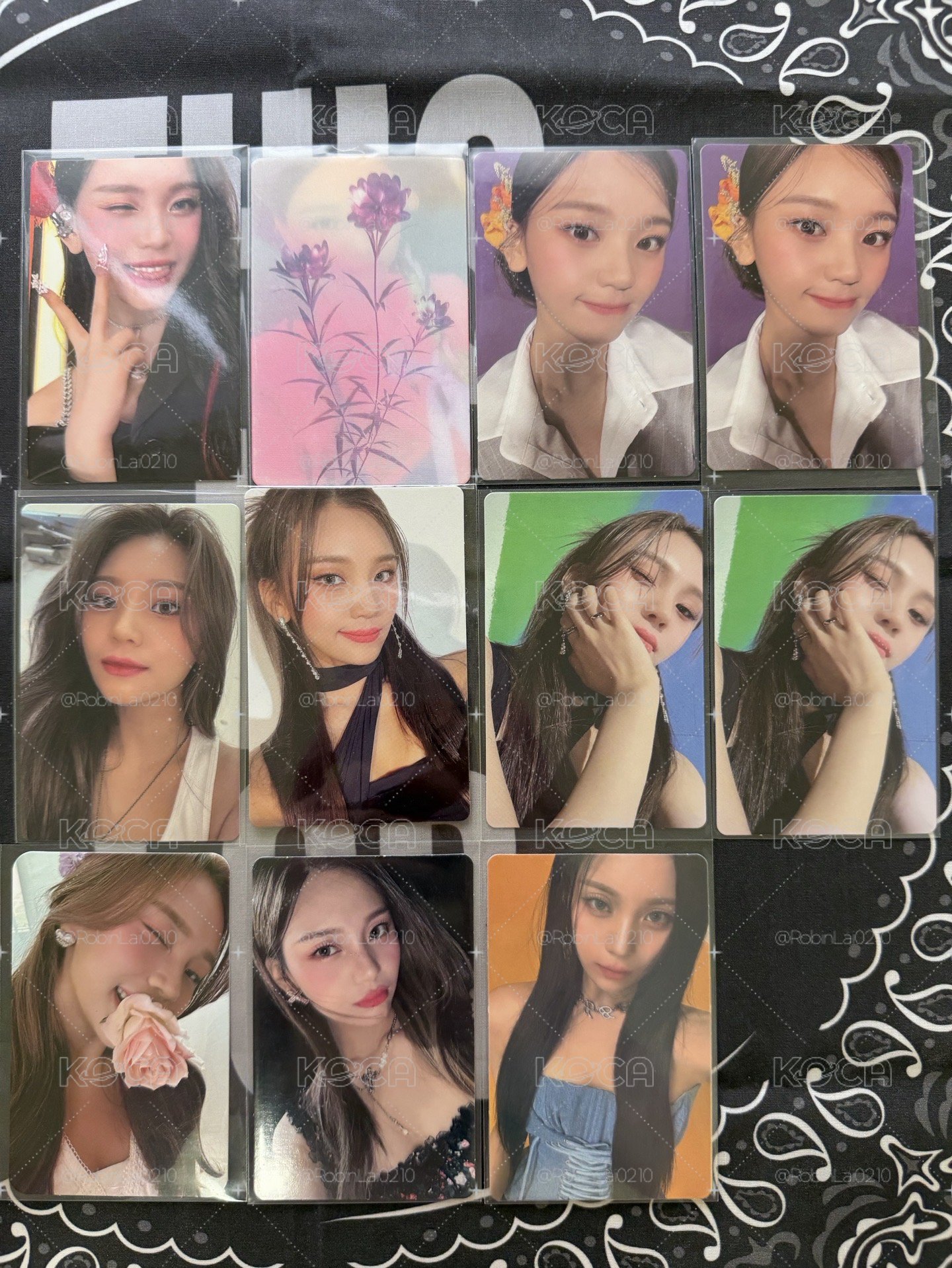 Viviz時期嚴智小卡
