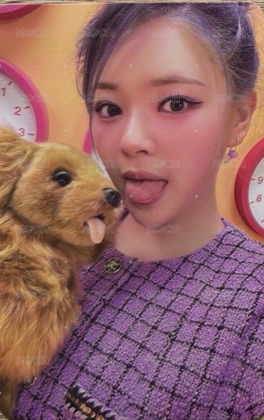 舔狗狗