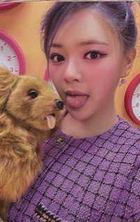 舔狗狗