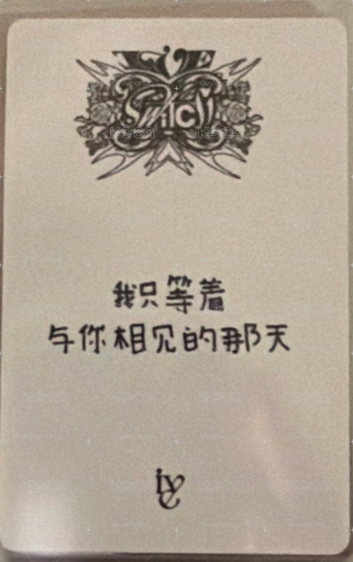 IVE SWITCH yzy1.0中文卡背 栗