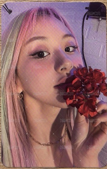 聞花
