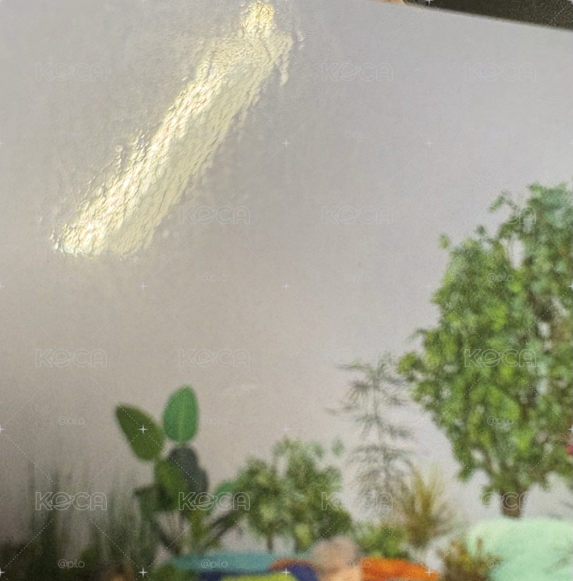 ［現貨］Hmv短褲中團卡