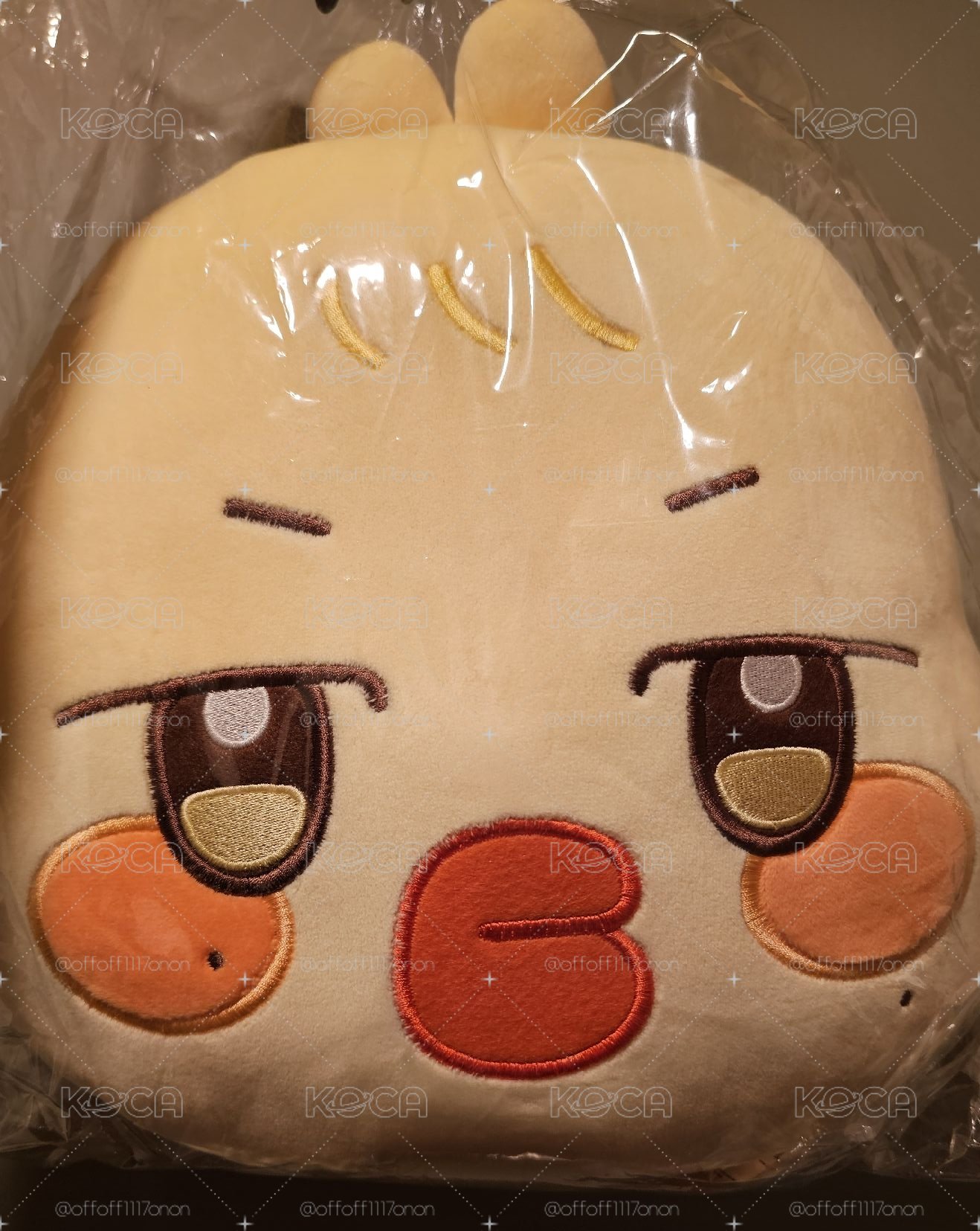 ANITEEZ IN COLOR 線下購入 蹦旼原皮大抱枕