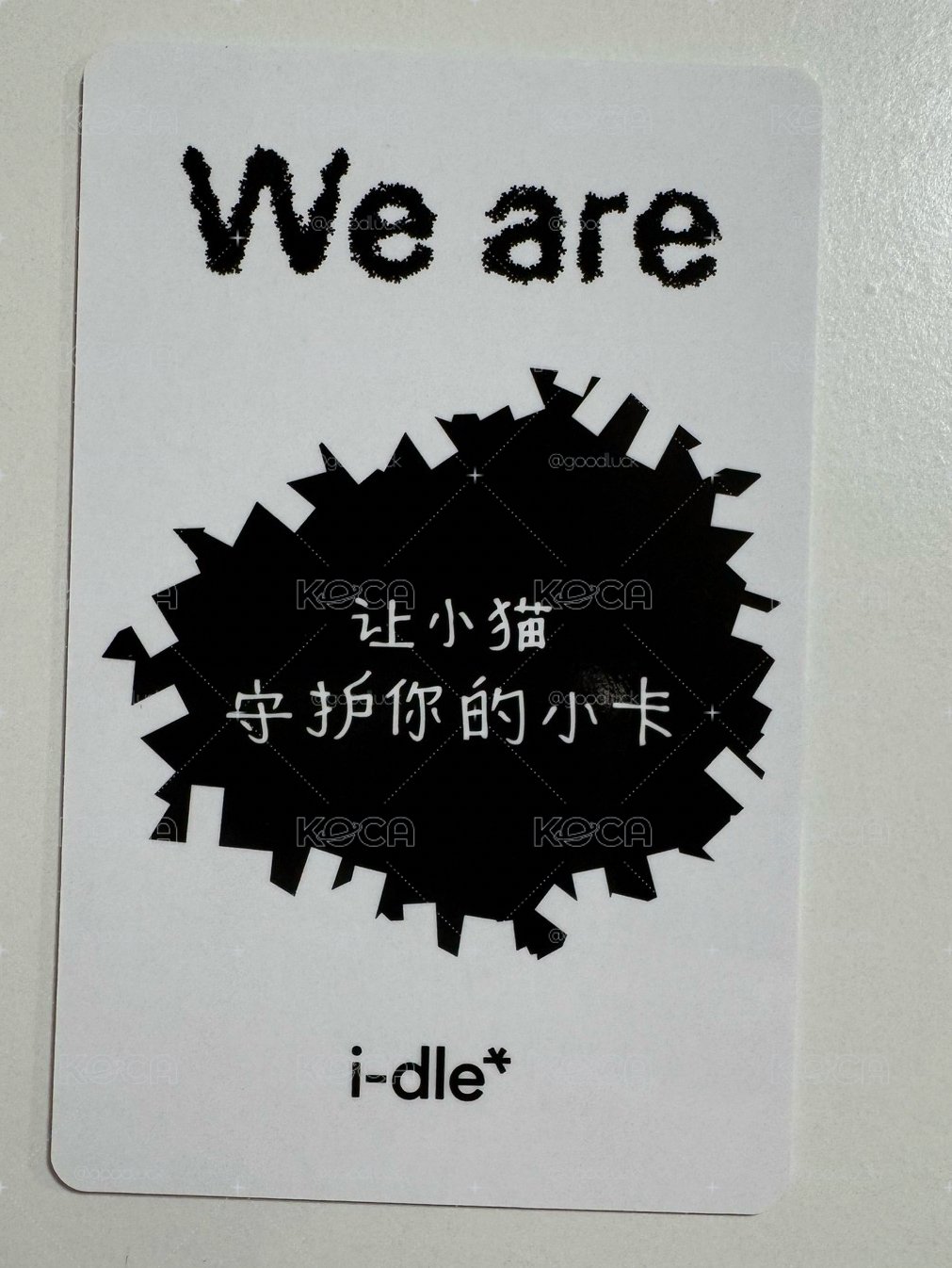 金米妮 中背