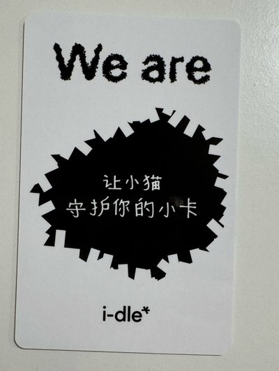 金米妮 中背