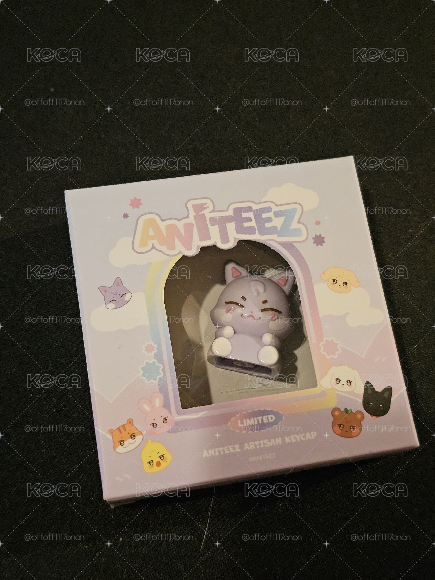 ANITEEZ IN COLOR 線下購入 鍵帽傘德