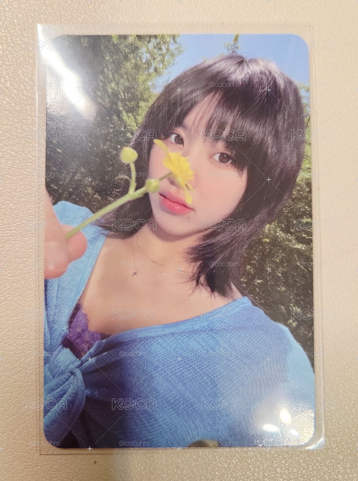TWICE 迷11 小黃花彩🌼