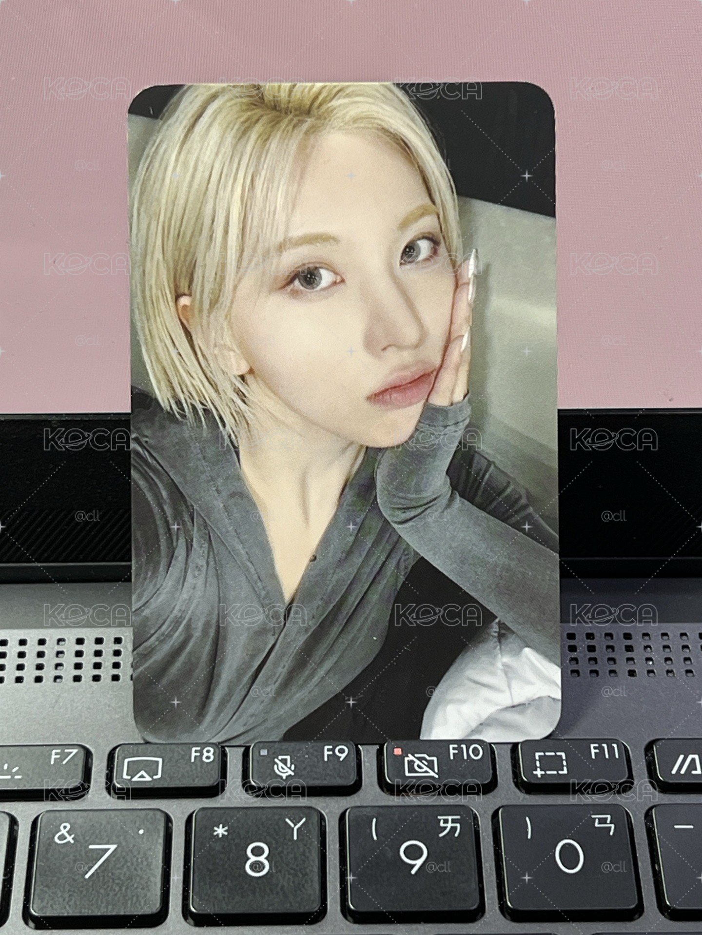 🐋FORWARD sw 線下1.0裴