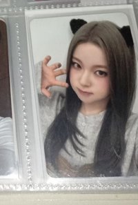 動物塑圭（1000）