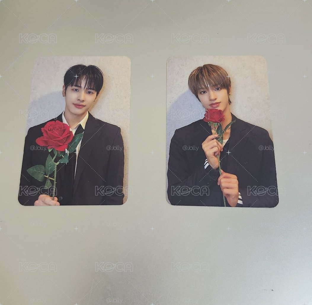 玫瑰🌹