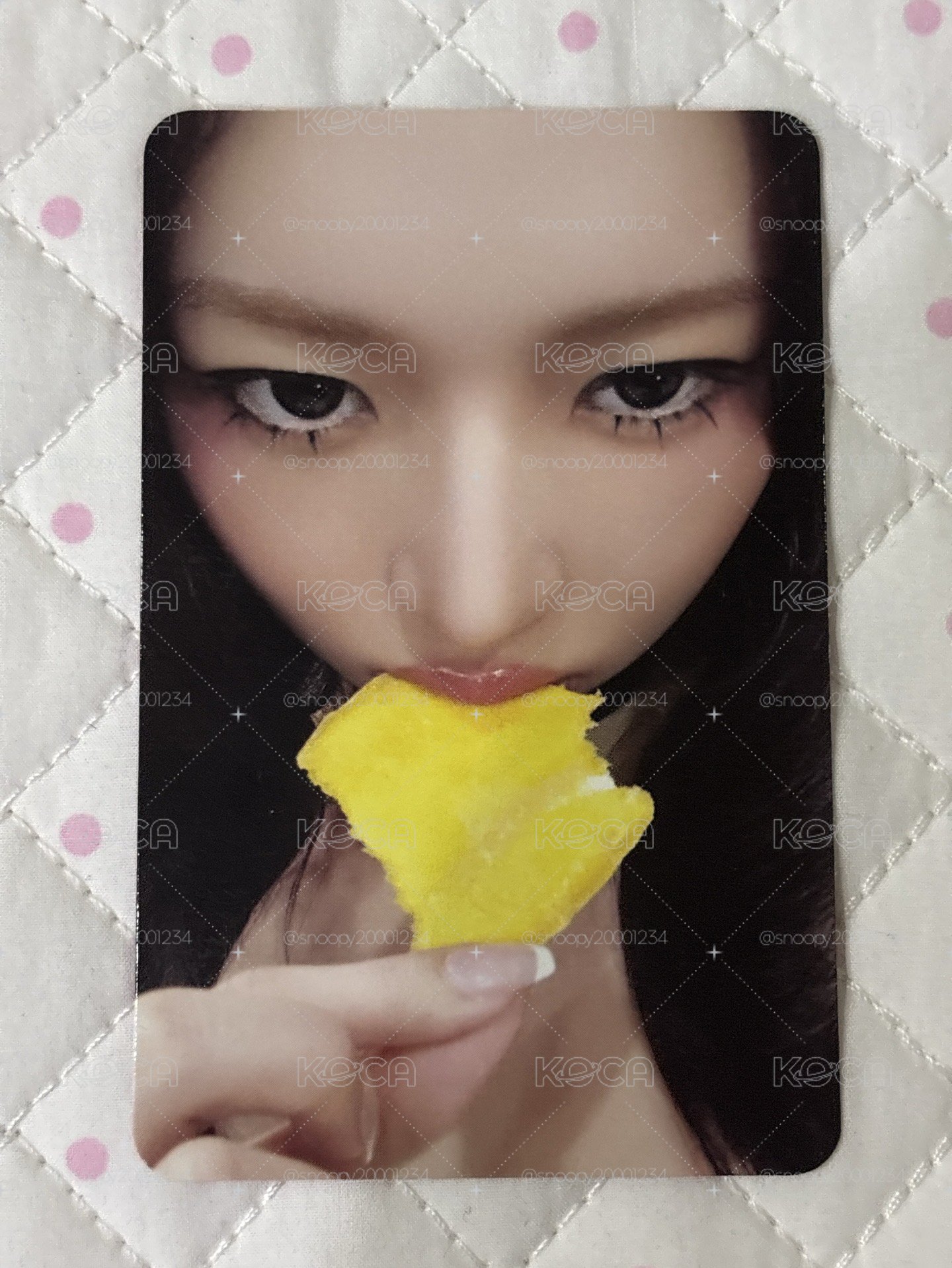 萌萌、專卡蕾伊💛