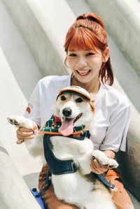 【TONY STAN】聯名主題寵物雙面領巾