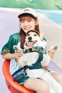 【TONY STAN】聯名主題寵物雙面領巾