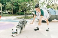 【TONY STAN】聯名主題寵物帽