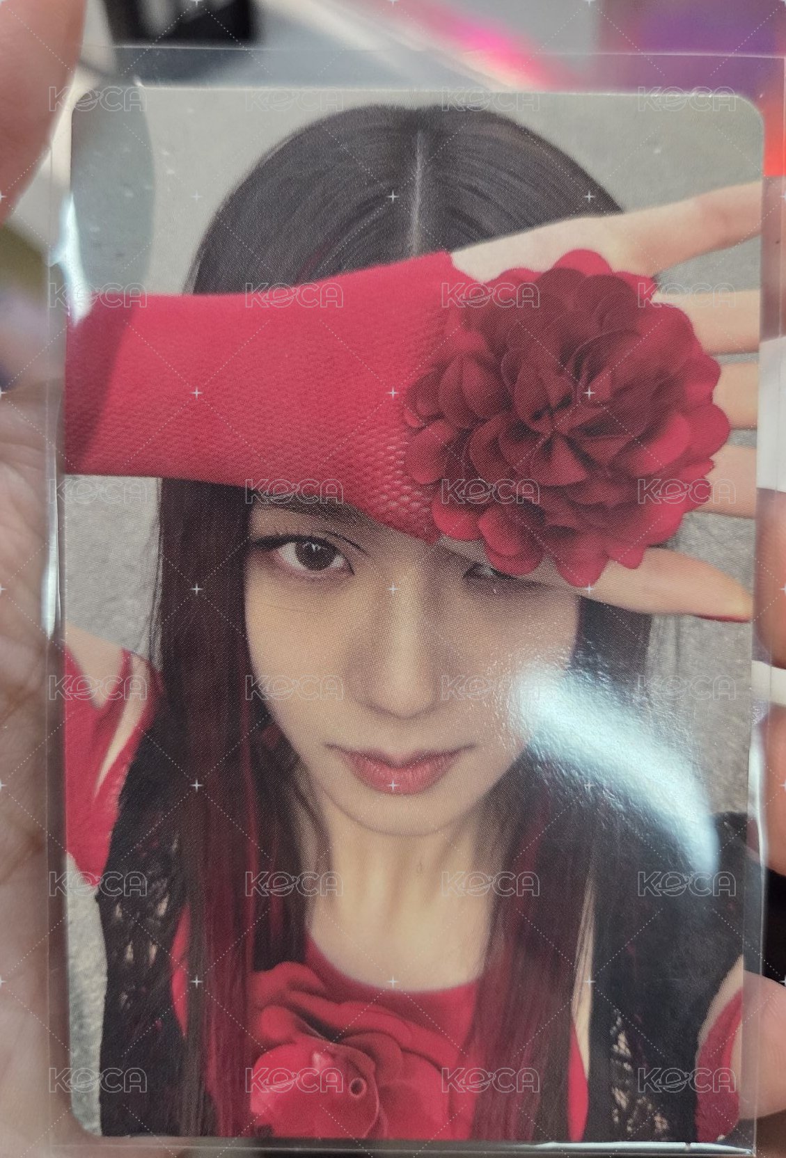 ME   紅花