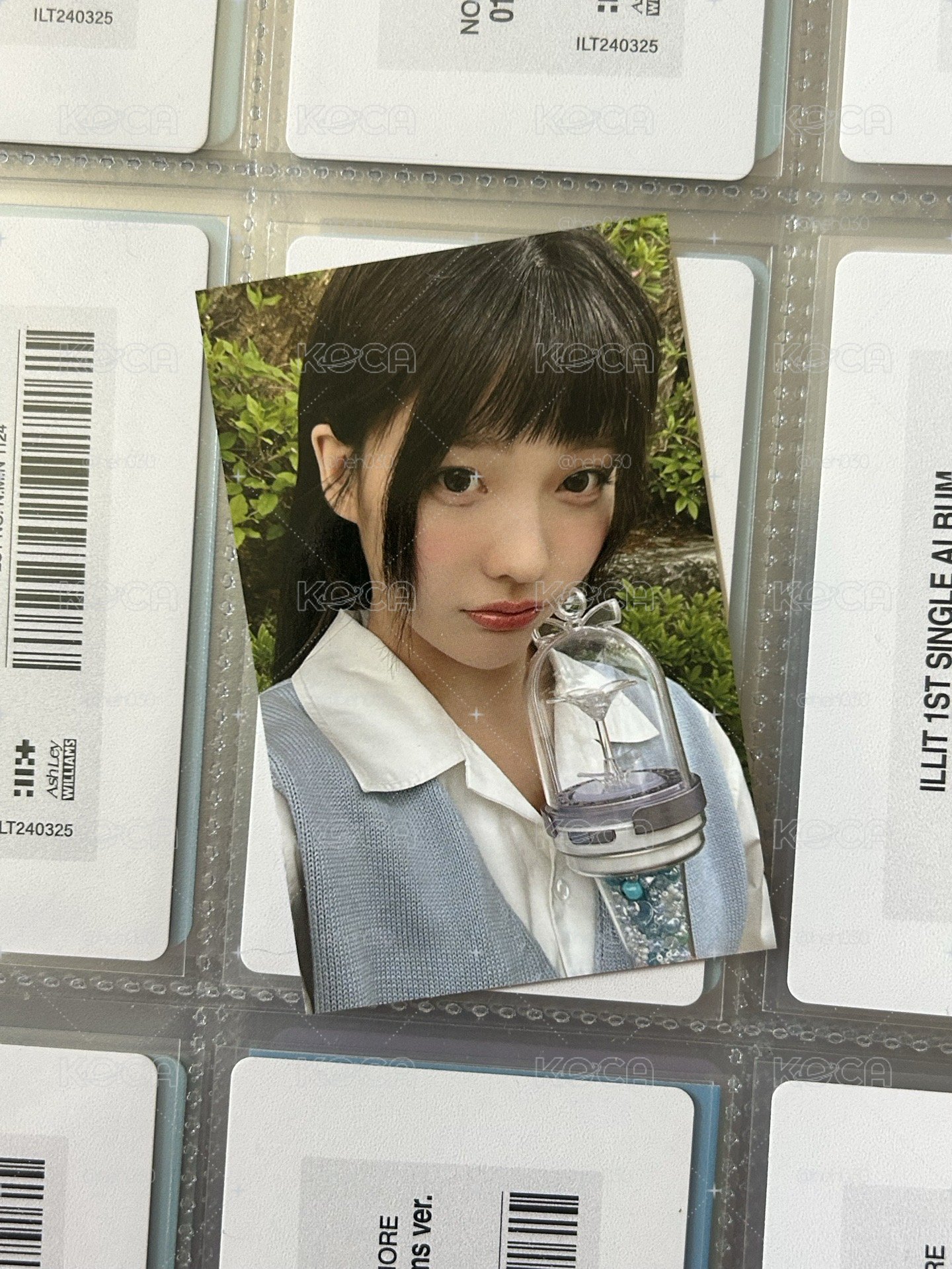 zone2.0 彩