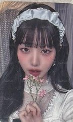 24年曆員