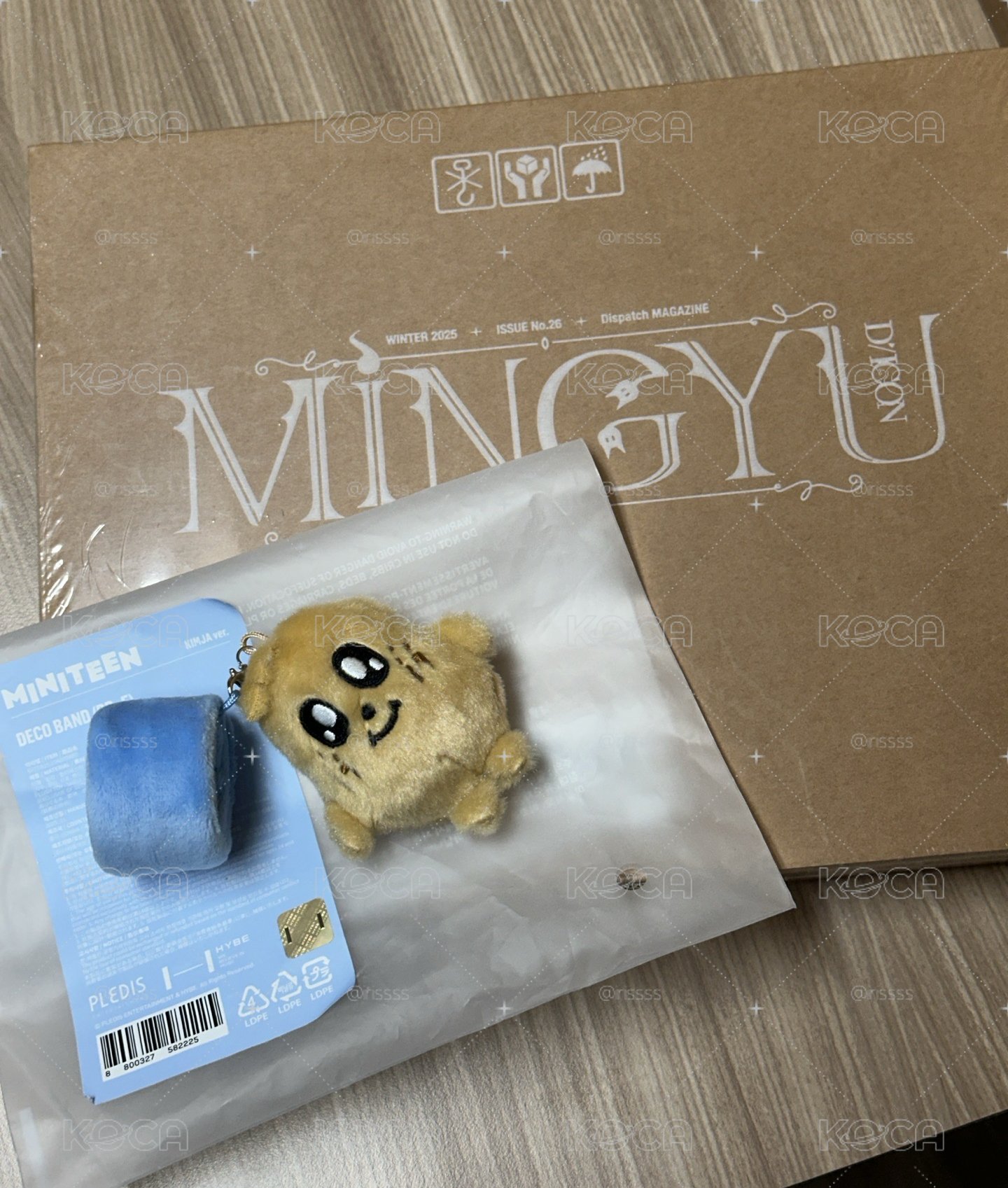 手燈環（奎）