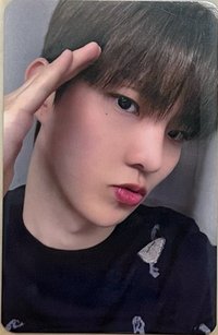 迷你10 專輯卡 