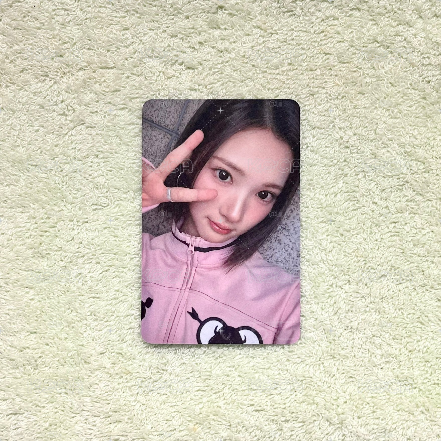 Jiwoo🍓FOCUS MR簽售特典