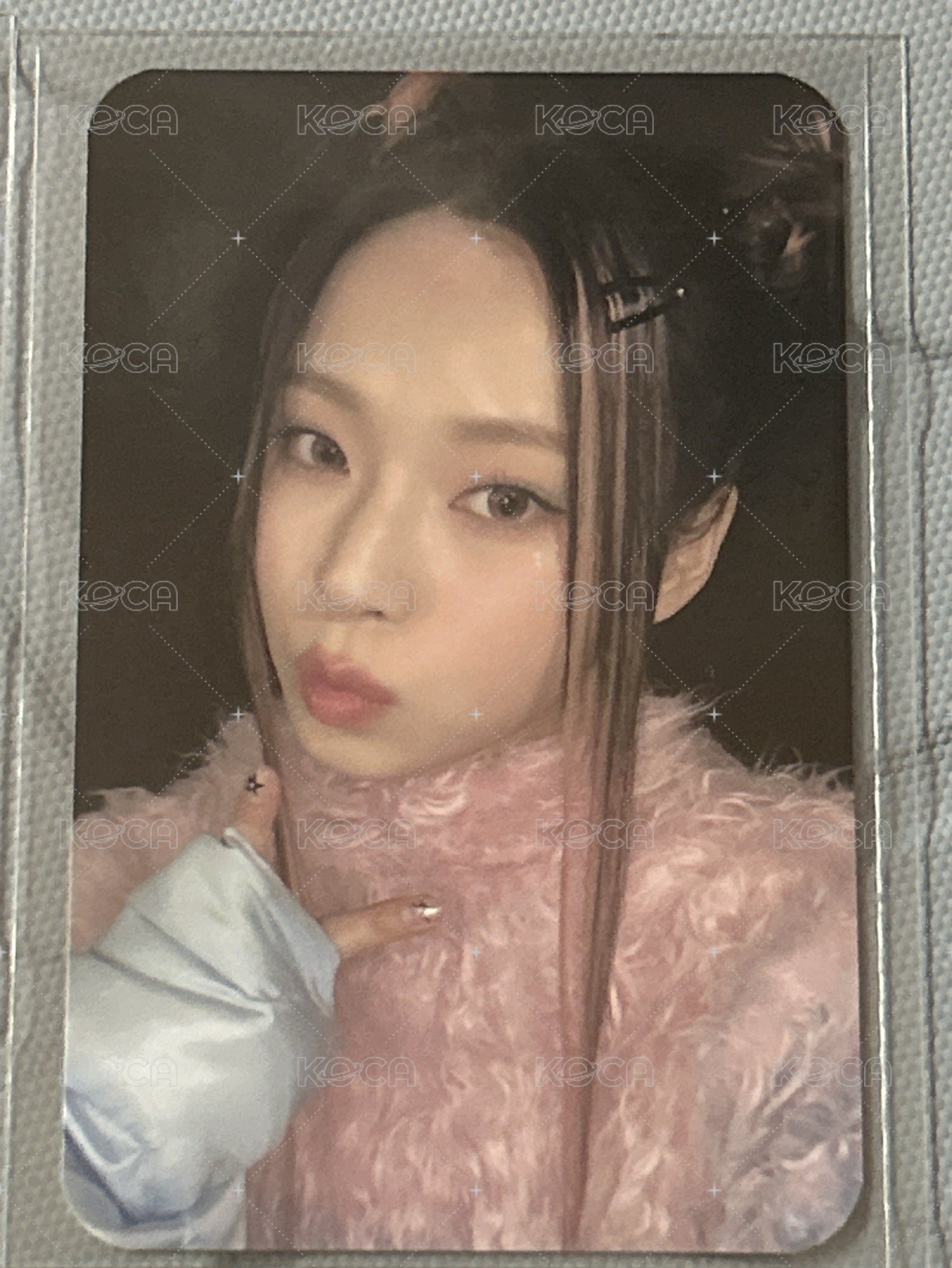 圭