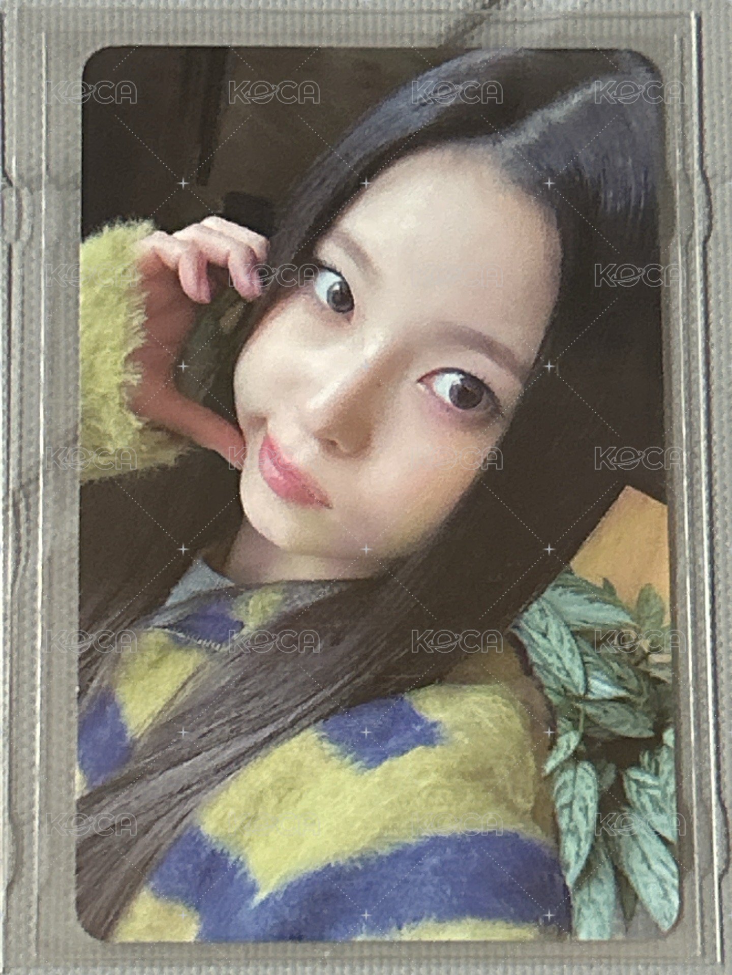 圭