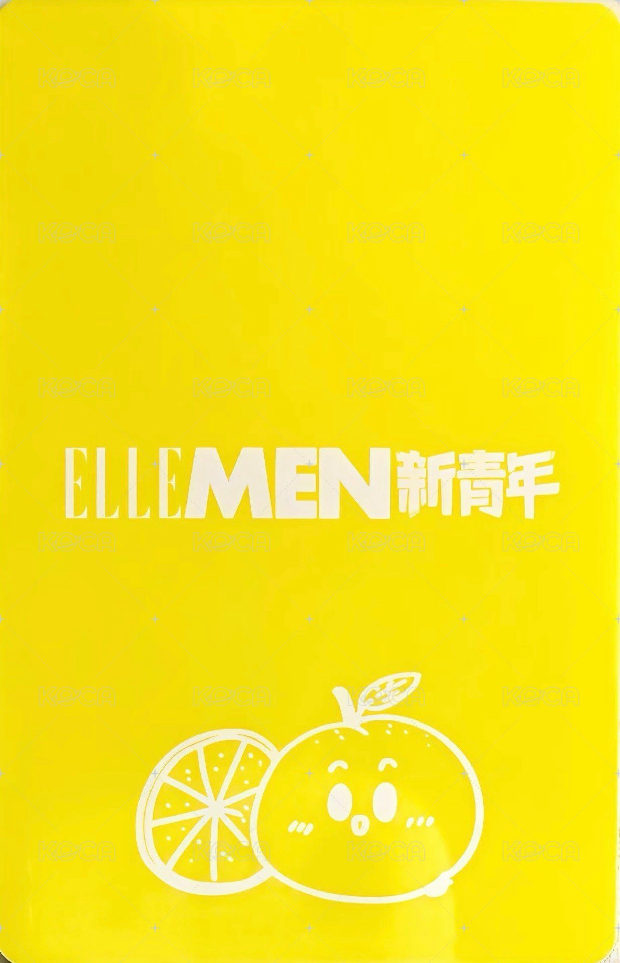 ELLE睿士新青年 雜誌卡 D版 背面