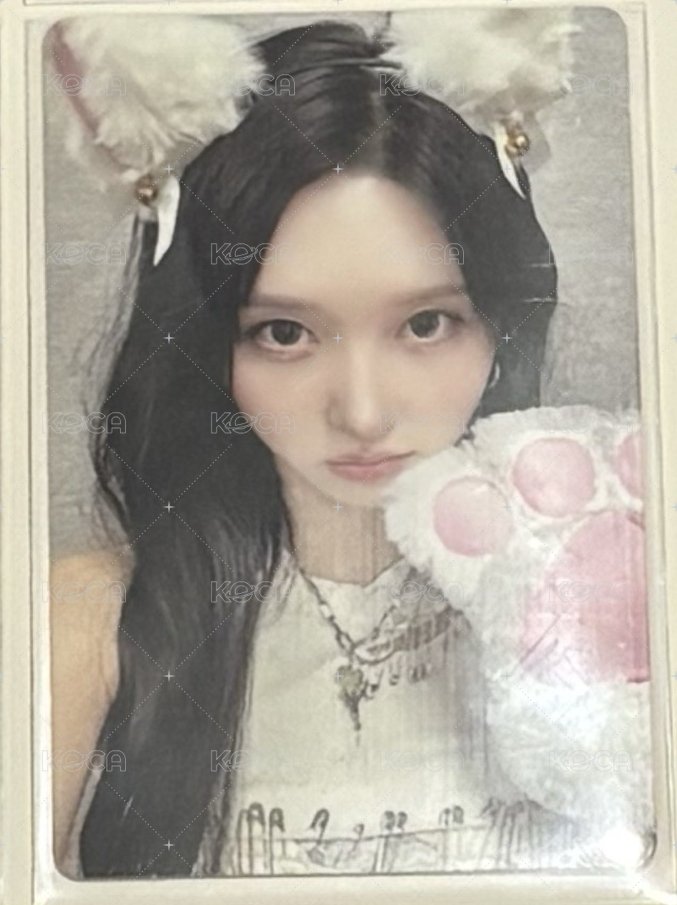 貓爪秋