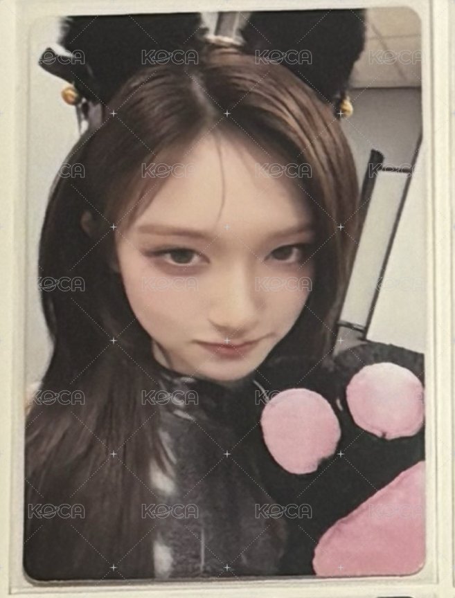 貓爪瑞