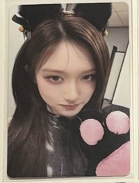 貓爪瑞