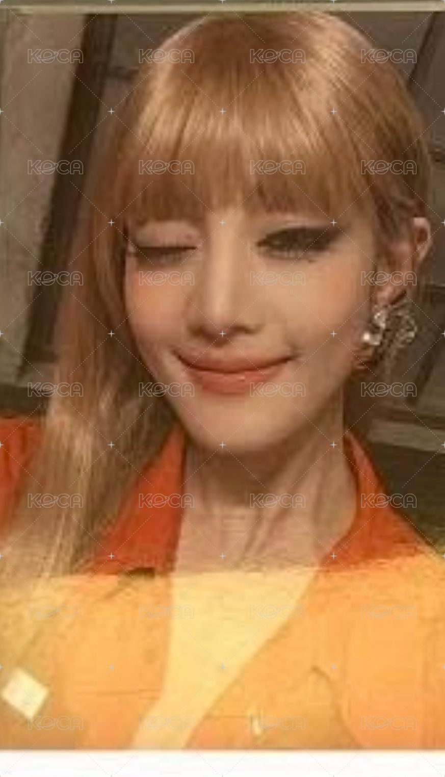 妮專卡