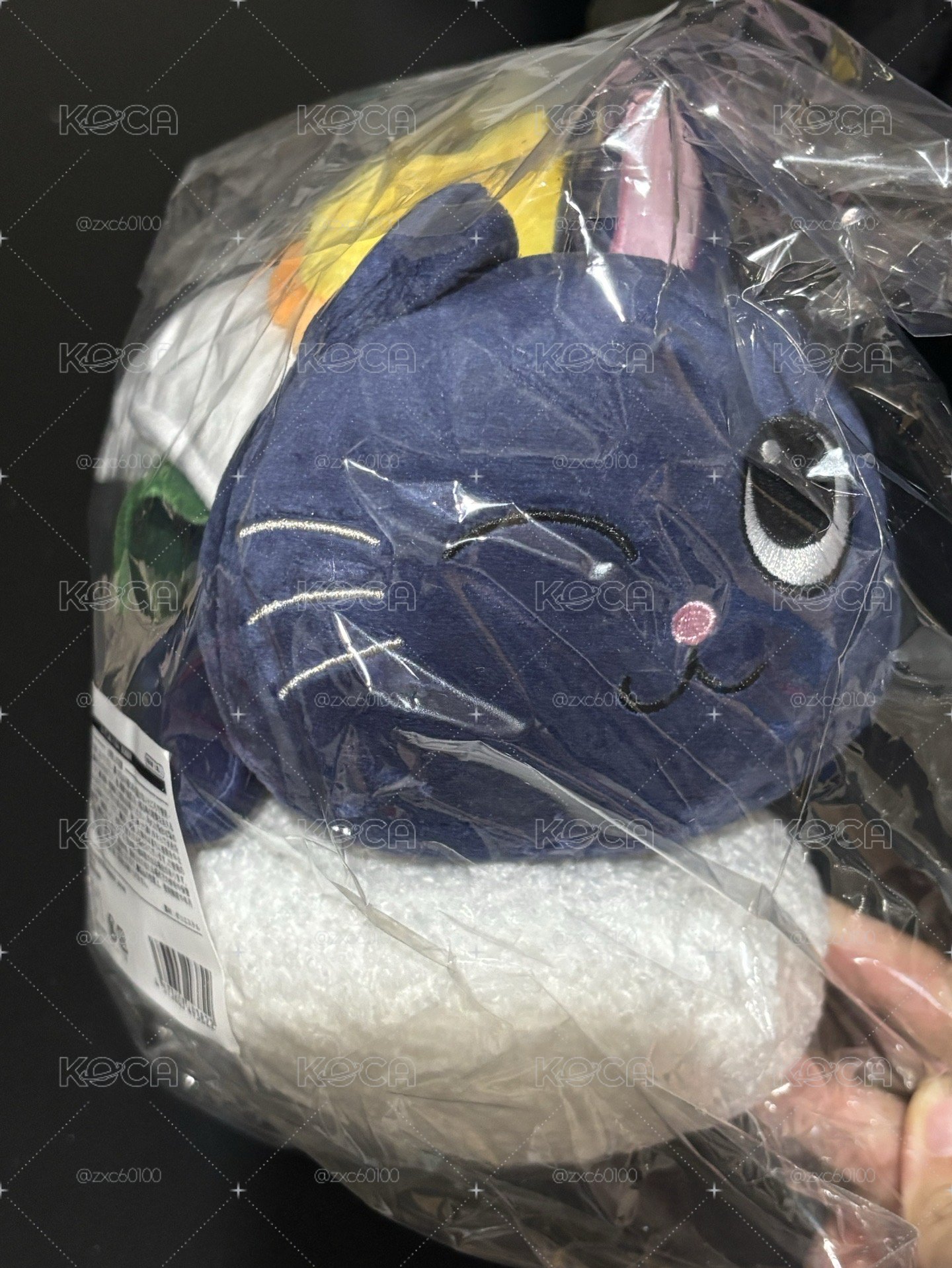 日本壽司娃 彬 RIIZE