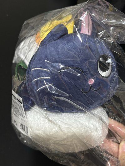 日本壽司娃 彬 RIIZE