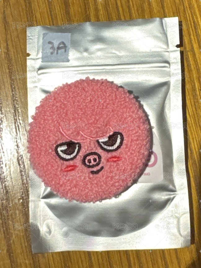 原皮彬