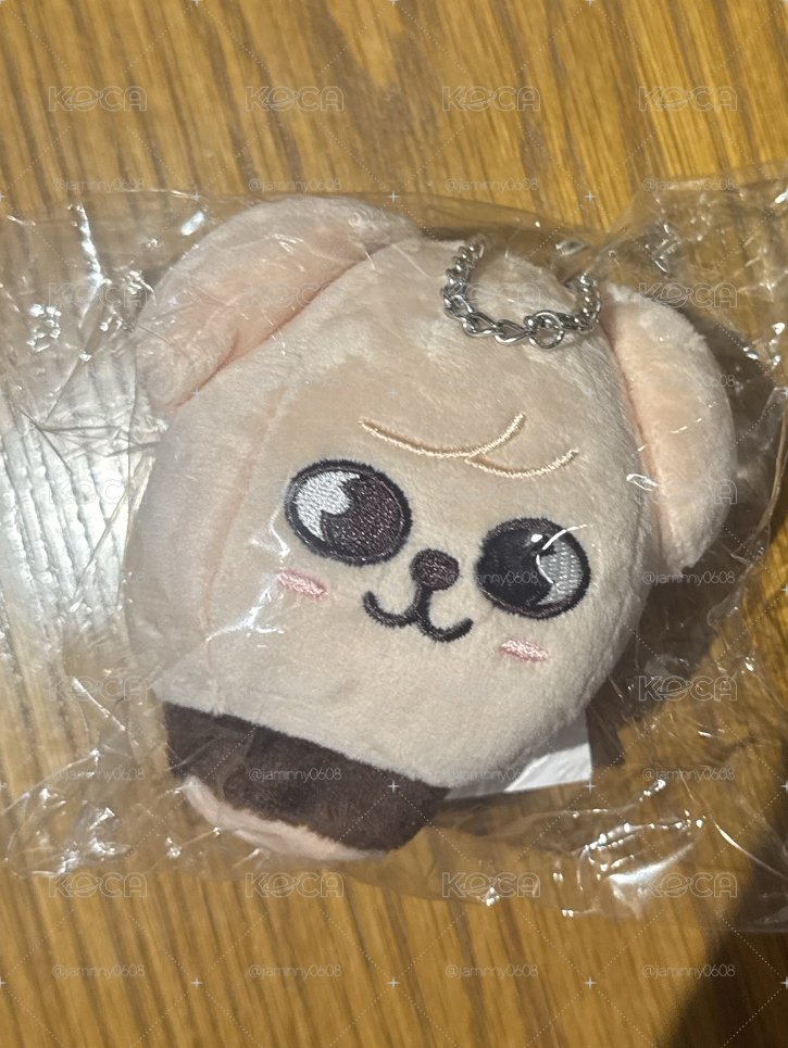 skzoo 熱氣球 玟 puppyM