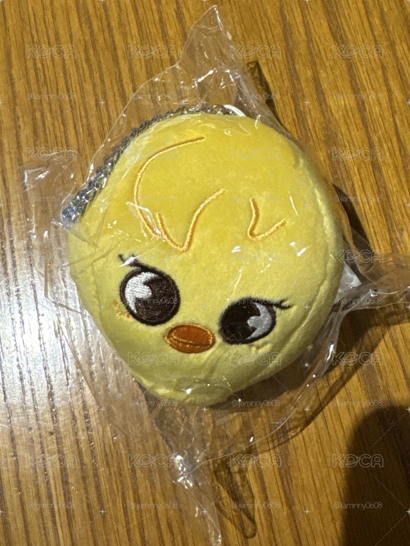 skzoo 熱氣球 菲