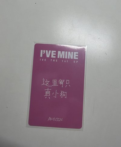 安安中背