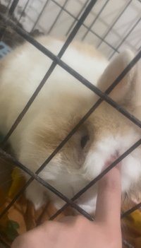 湊數 勿下單