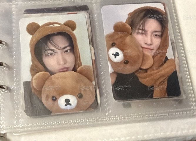 熊熊🐻