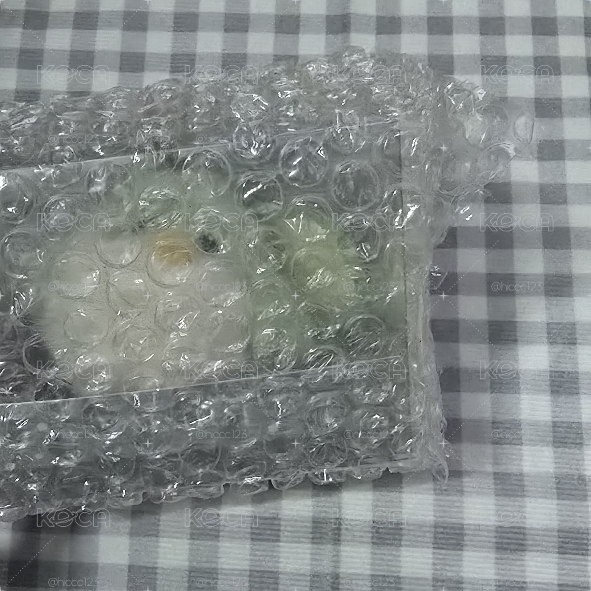 鳥寶寶吊飾 全新未拆