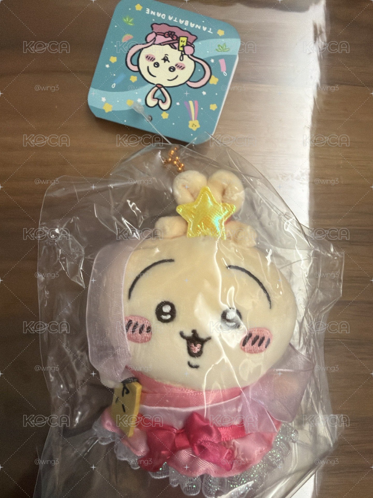 水槍泳鏡兔 七夕兔