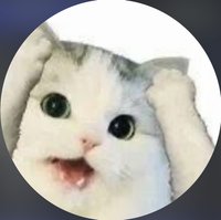波波吉