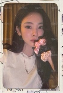 灰帽卡