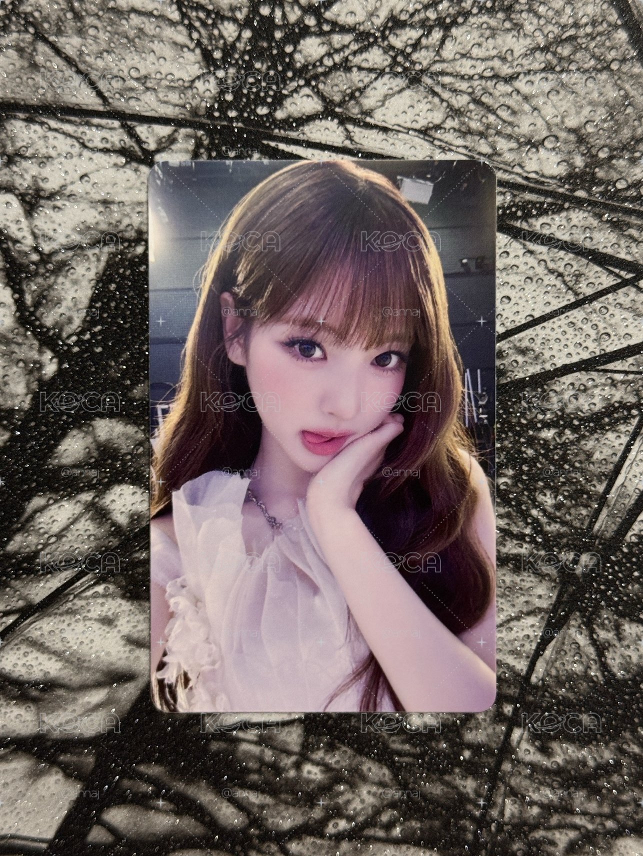 🐰𝗽𝗽𝗺𝗾
