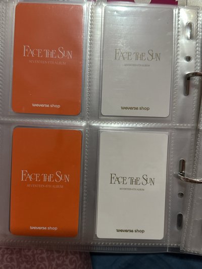 老虎教信徒洪知秀 尹淨漢招牌耶 face the sun wvs特典卡 漢秀 貝雷漢 貝雷秀